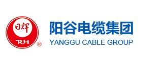 山東陽(yáng)谷電纜集團(tuán)有限公司